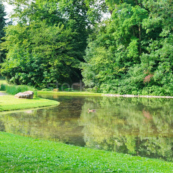 Foto d'archivio: Scenico · lago · estate · parco · cielo · acqua