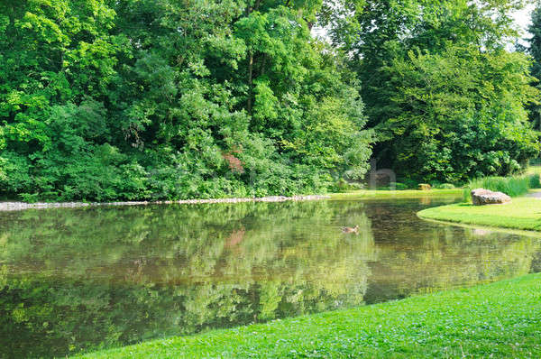 Stock photo: scenic lake in the summer park