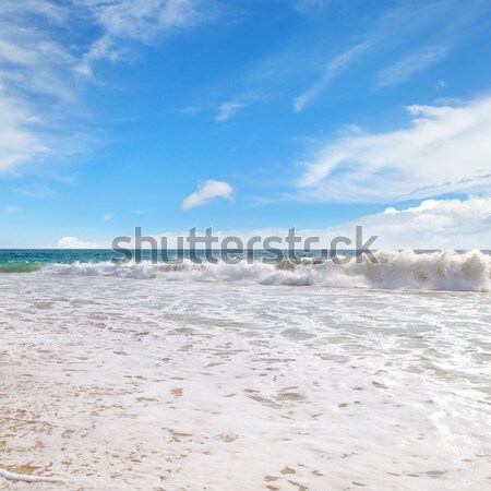 Oceaan pittoreske strand blauwe hemel wolken zee Stockfoto © alinamd