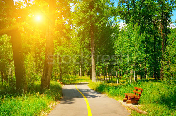 summer park with beautiful walking paths Stock photo © alinamd