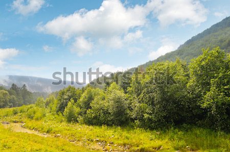 Pitoresc munte vale parau cer primăvară Imagine de stoc © alinamd