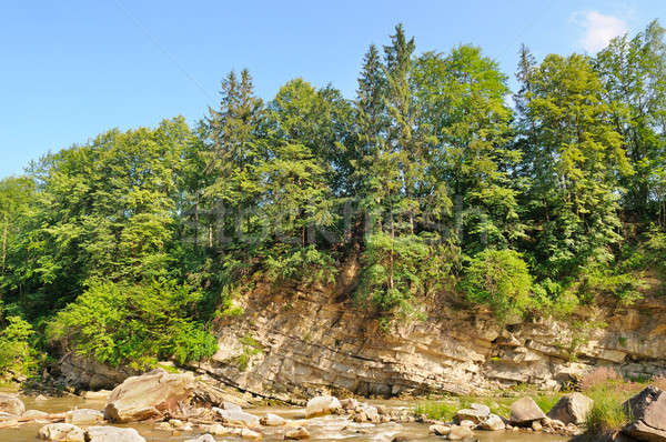 Raide banque rivière paysage arbres été [[stock_photo]] © alinamd