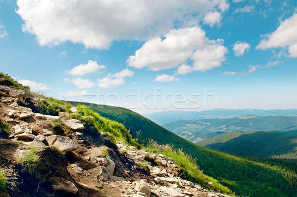 Mountain view from the top of Goverli, Carpathians Stock photo © alinamd