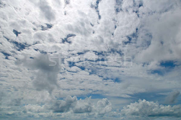 Abstract light gray overcast sky Stock photo © alinamd