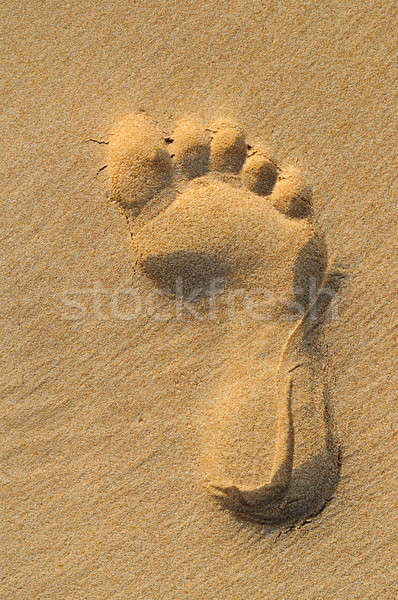 Lenyomat emberi láb homokos tengerpart tengerpart textúra Stock fotó © alinamd