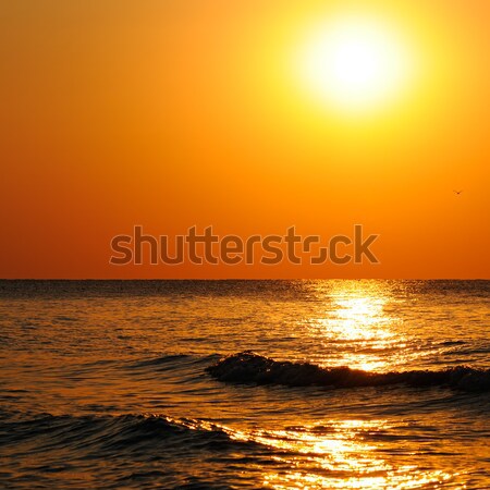 beach of the ocean and sunrise Stock photo © alinamd