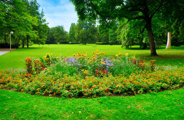 Stock photo: summer park with beautiful flowerbeds