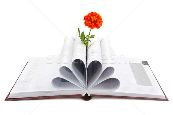 Book and flower isolated on white background Stock photo © alinamd