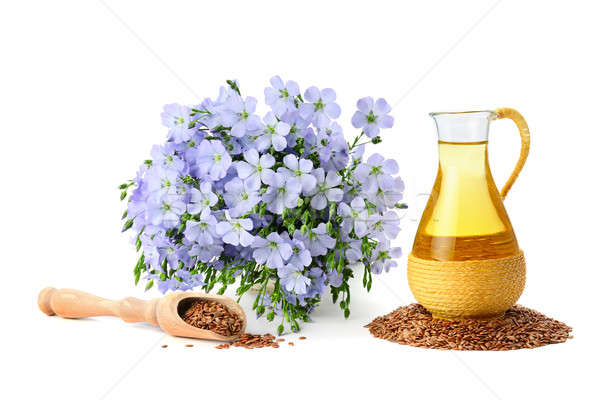 seed oil and flax flowers Stock photo © alinamd