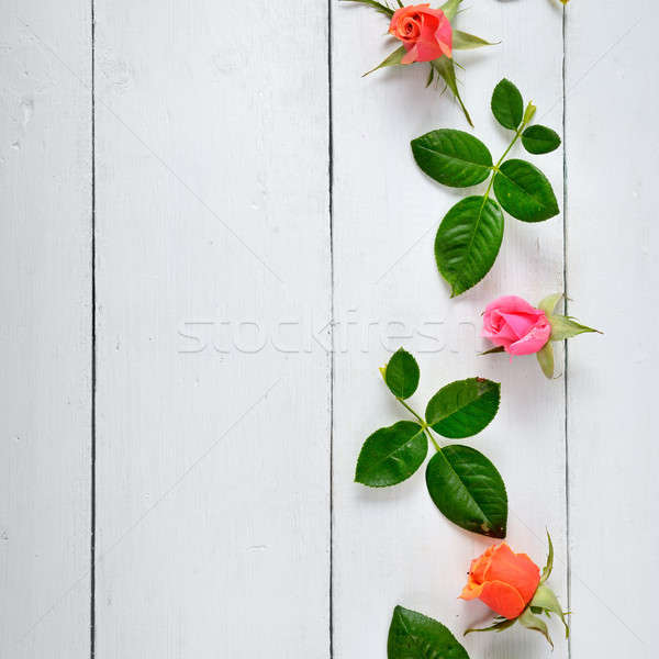 Stok fotoğraf: Güller · beyaz · ahşap · çiçekler · kırmızı · gül · üst