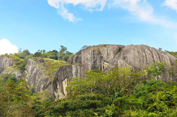 Bergen blauwe hemel Sri Lanka hemel natuur berg Stockfoto © alinamd