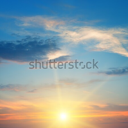 the sun above the horizon Stock photo © alinamd