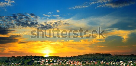panorama of city against the background of sunset Stock photo © alinamd