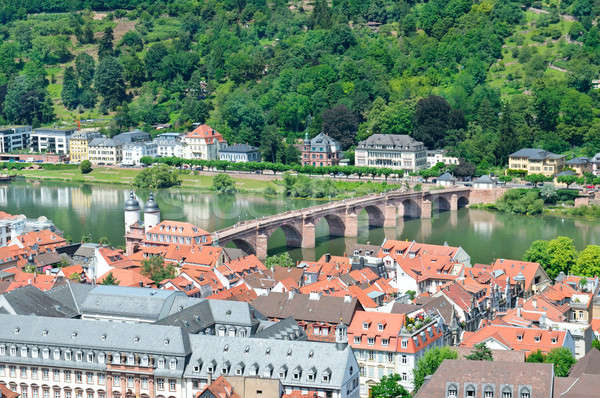 City of Heidelberg. Germany Stock photo © alinamd
