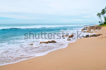 Beautiful coast of the Indian Ocean Stock photo © alinamd