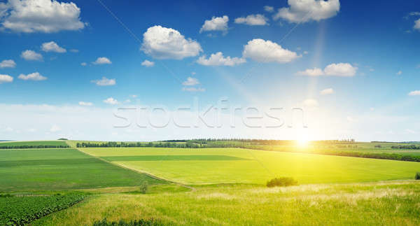 Stock photo: spring field and sunrise on blue sky