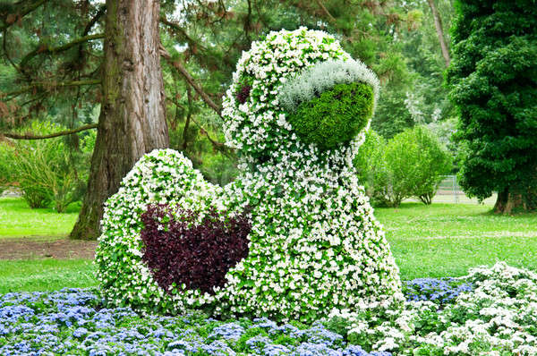 flower bed and park Stock photo © alinamd