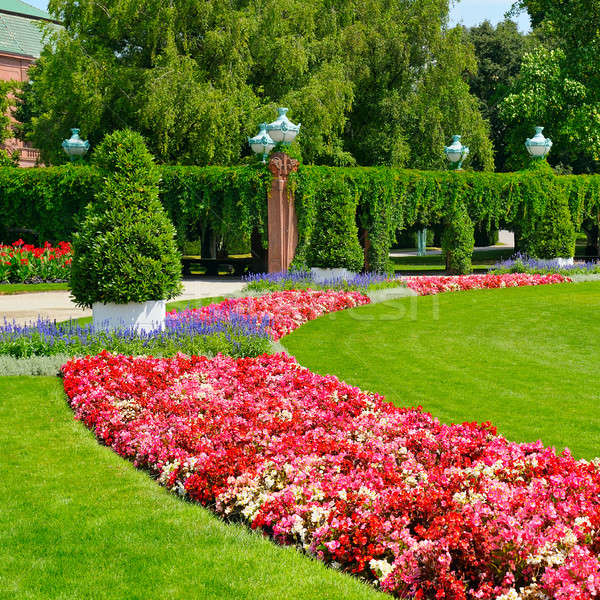 summer park with flower bed and green lawn Stock photo © alinamd
