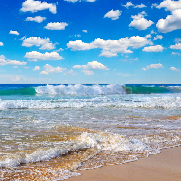 Okyanus resmedilmeye değer plaj mavi gökyüzü gökyüzü doğa Stok fotoğraf © alinamd