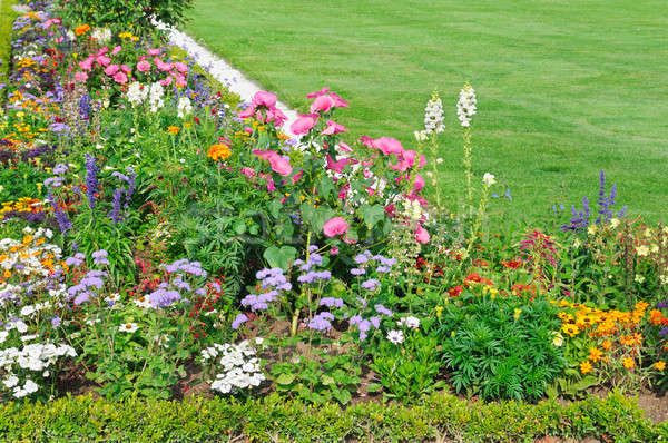 Foto stock: Canteiro · de · flores · verde · gramado · belo · primavera · grama