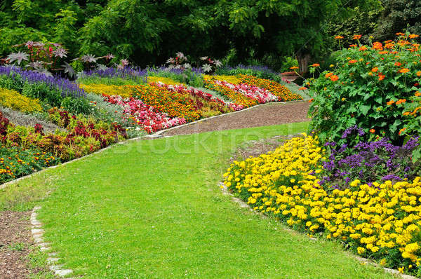 ストックフォト: 開花 · 公園 · 花 · 春 · 草 · 自然