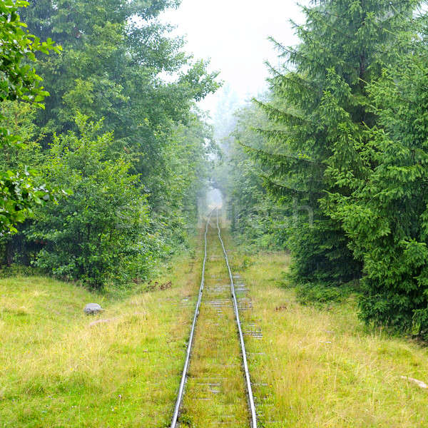 narrow-gauge railway in the forest Stock photo © alinamd