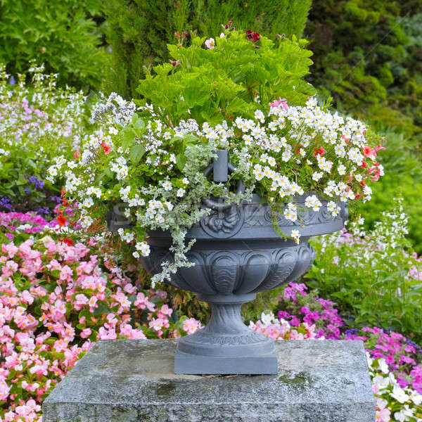 flower bed and stone vase with flowers Stock photo © alinamd