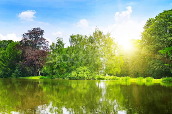 Scenic lac vară parc cer iarbă Imagine de stoc © alinamd