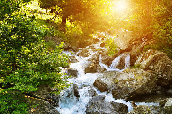 mountain river, forest and bright sun Stock photo © alinamd