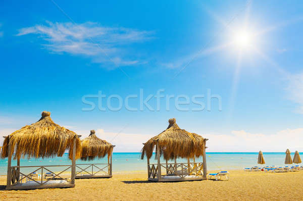 sandy beach, awnings and sunbeds Stock photo © alinamd