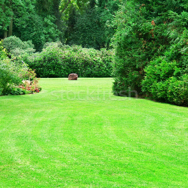 summer park with beautiful green lawns Stock photo © alinamd