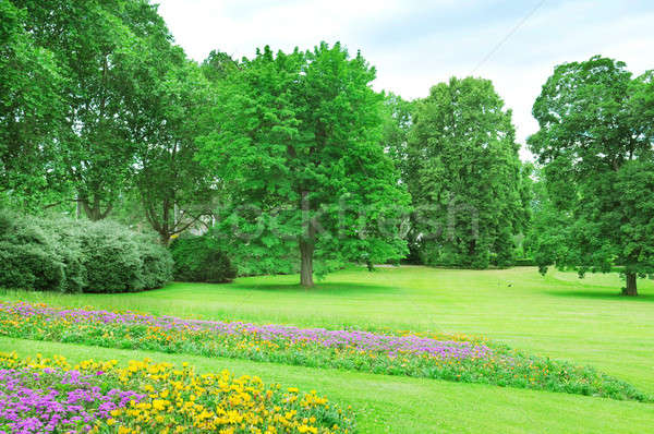 [[stock_photo]]: été · parc · pelouse · jardin · de · fleurs · nuages · printemps
