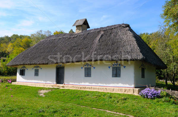 old farmhouse with a thatched roof Stock photo © alinamd