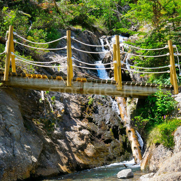 Stok fotoğraf: Köprü · dağ · nehir · orman · arka · plan · güzellik