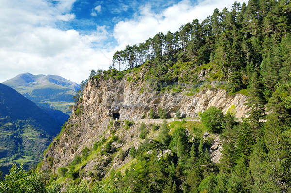 Foto d'archivio: Montagna · strada · tunnel · nubi · foresta · natura