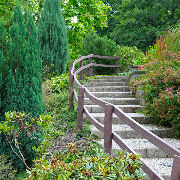 Gemütlich Park Treppe Straße Holz Natur Stock foto © alinamd
