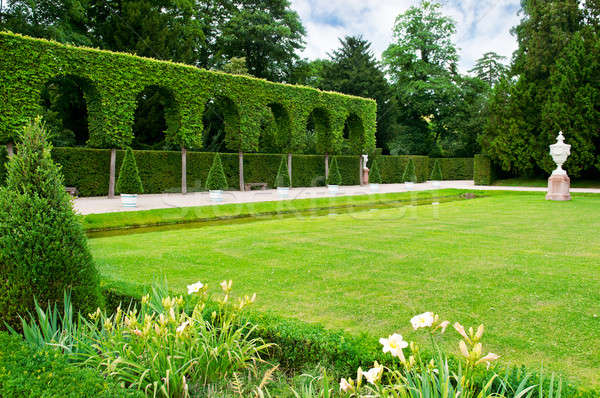 lawn and hedge in a summer park Stock photo © alinamd