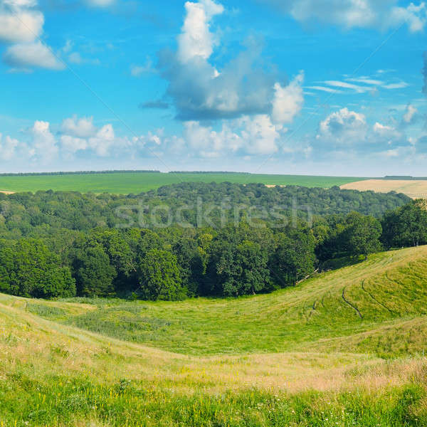 Pittoresco colline foresta cielo blu nubi erba Foto d'archivio © alinamd