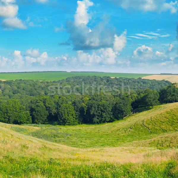 Pitoresco hills floresta blue sky nuvens grama Foto stock © alinamd