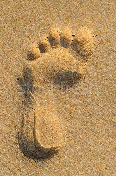 Lenyomat emberi láb homokos tengerpart tengerpart víz Stock fotó © alinamd