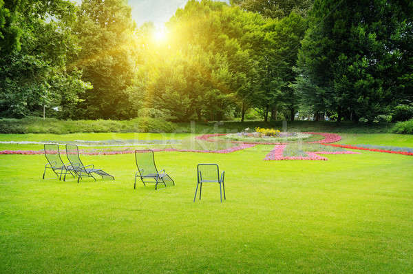 beautiful summer park Stock photo © alinamd