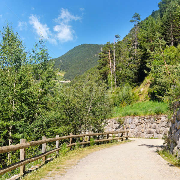Tourist walking trail in the mountains Stock photo © alinamd