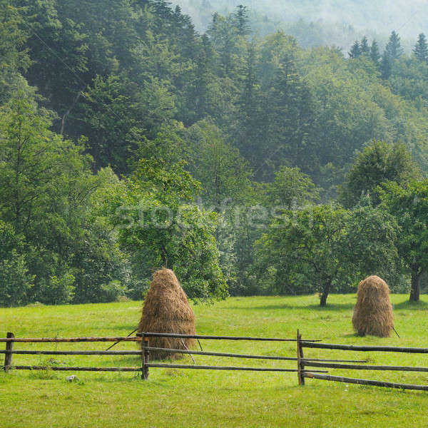 haystacks in the mountain valley Stock photo © alinamd