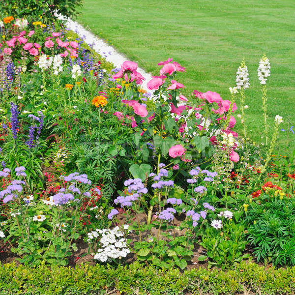 [[stock_photo]]: Belle · lit · de · fleurs · herbe · verte · fleur · herbe · feuille