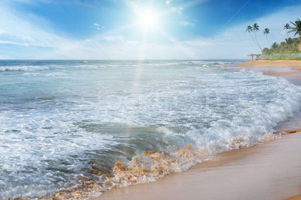 sea, blue sky and sun Stock photo © alinamd