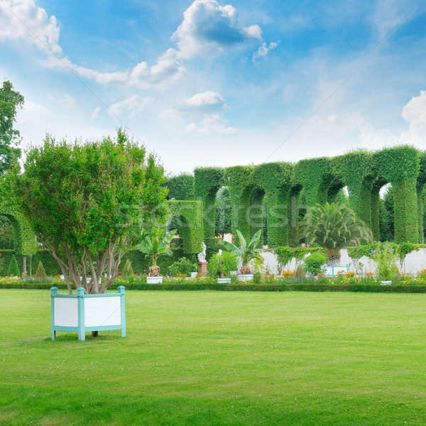 lawn and hedge in a summer park Stock photo © alinamd