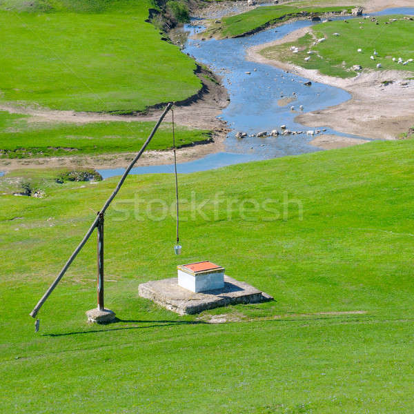 Green meadow, river and well Crane Stock photo © alinamd