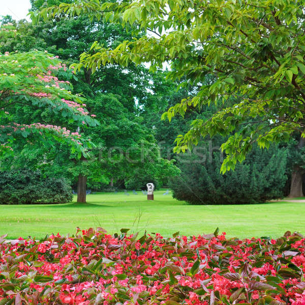 summer park, lawn and flower garden Stock photo © alinamd
