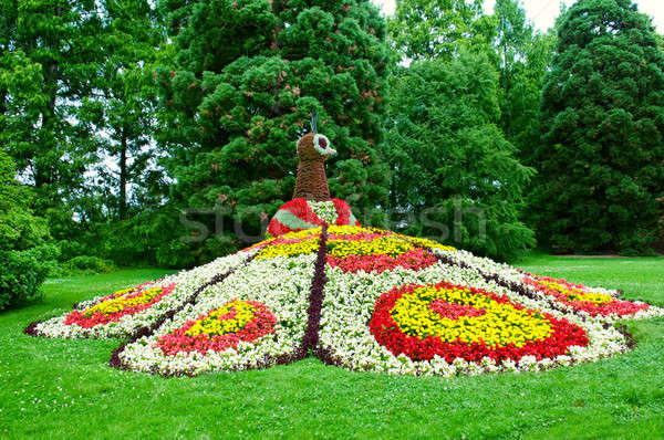 Kwiat Paw rzeźba kwiat ogród trawy Zdjęcia stock © alinamd