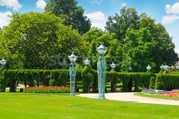 summer park with beautiful street lights, lawns and hedges Stock photo © alinamd